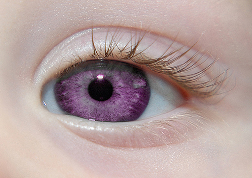 black hair and violet eyes